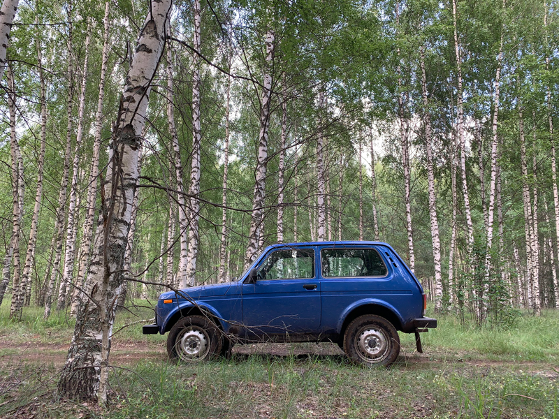 Illustration for article titled The Lada Niva Refuses To Die, 42 Years And Counting